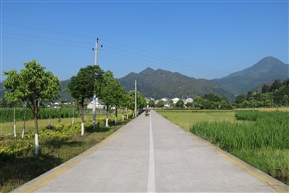 理想家园2