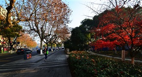 秋染震川路