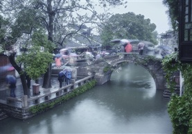 春风春雨迎花开