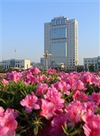 市政府大楼