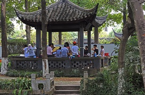 老有所乐