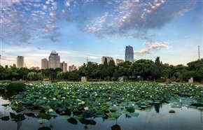 《城市公园》（5）