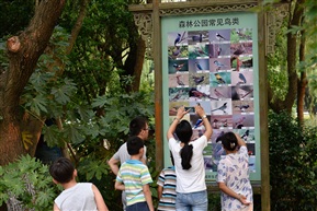 生态森林园