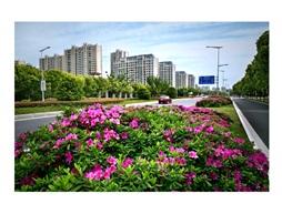 春暖花开