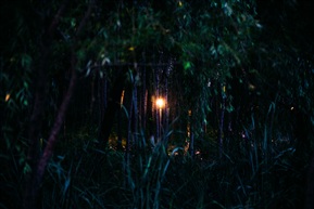 夜