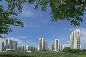 新农村