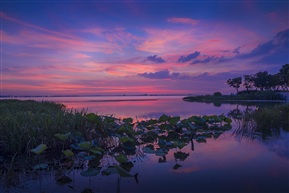 阳澄夕照