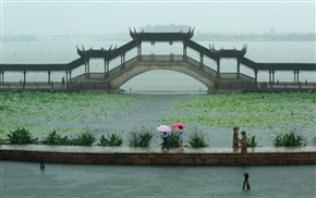 黄梅时节（二）