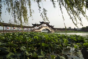 绿色满院