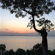 望湖