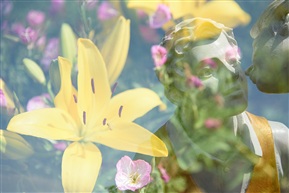 花之恋