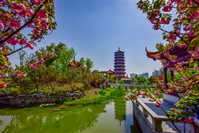 慧聚灵塔