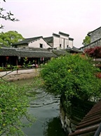 水乡之春