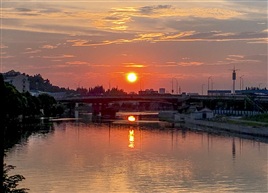 夕阳红