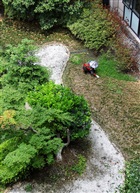 除草