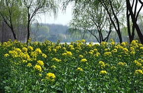 <<森林公园>>3