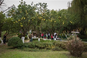 《森林公园》（14）