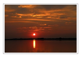 醉夕阳