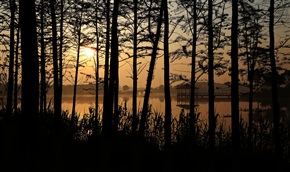 夕照