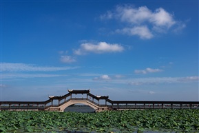 白雲悠悠