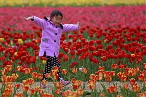 祖国花朵