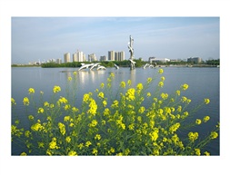大渔湖之春