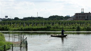 村外河边一景