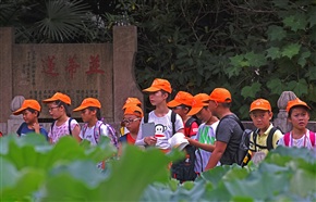亭林莲池晨韵