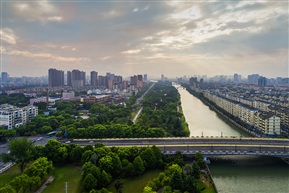 绿色动脉（17）