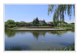 小公园一角