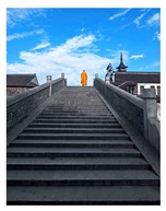《禅》