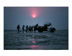 《赶海1》