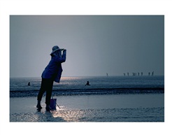 《海边等你》
