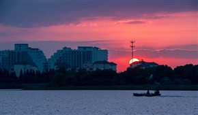 夕阳红