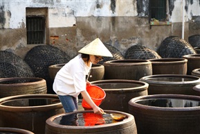 制作酱油