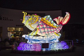 花开并蒂灯映两岸