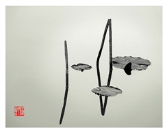 《残荷》