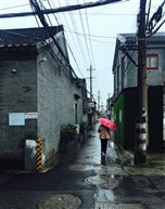 雨中扬州老城区