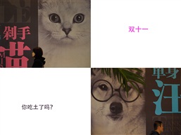 双十一，你吃土了吗？