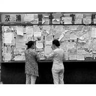 《信息栏》