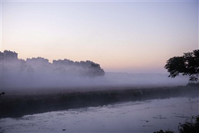 晨雾1