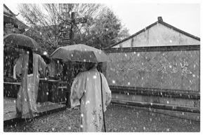 雪中恋曲