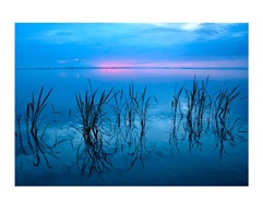 醉美夕阳红