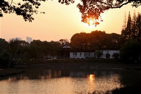 亭林新景