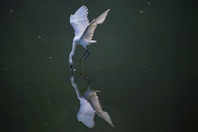 《破静》