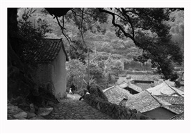 山村-杨家堂