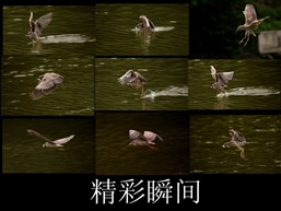 精彩瞬间