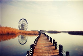 太湖湿地