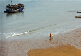 《海边》