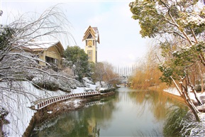 富力湾的雪景（1）